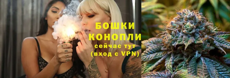 дарнет шоп  Алушта  Бошки Шишки THC 21% 